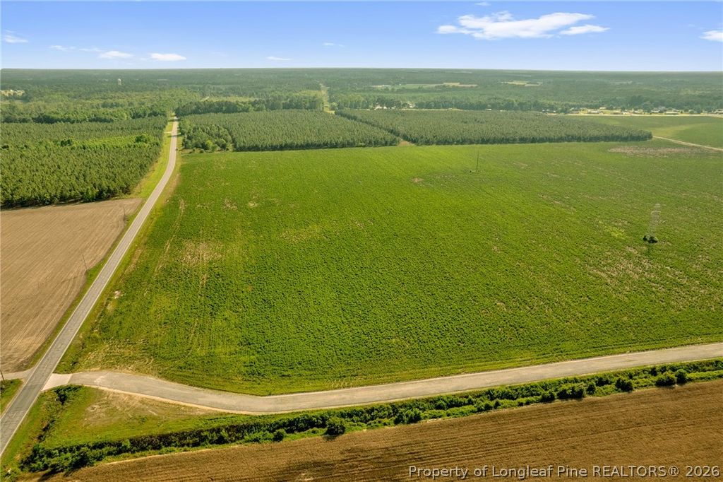00 Old Wire (Lot 13) Road, Shannon, NC 28386 — photo 10