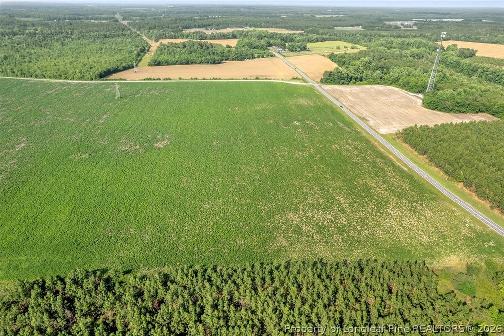 00 Old Wire (Lot 13) Road, Shannon, NC 28386 — photo 12