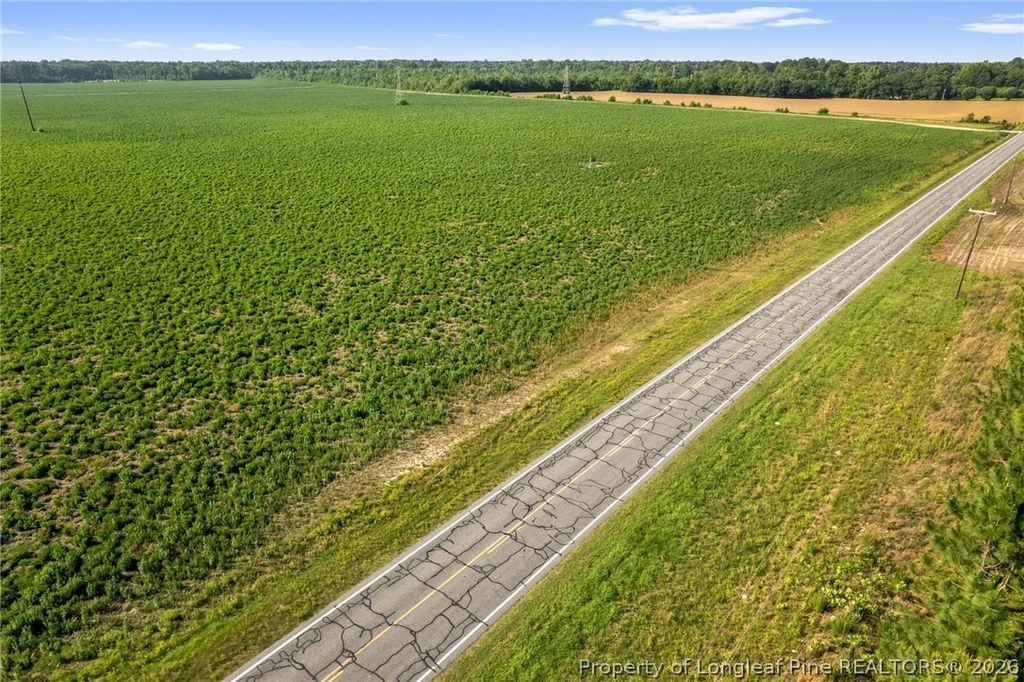 00 Old Wire (Lot 13) Road, Shannon, NC 28386 — photo 13