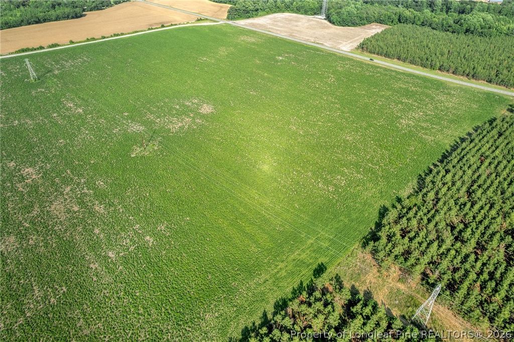 00 Old Wire (Lot 13) Road, Shannon, NC 28386 — photo 5