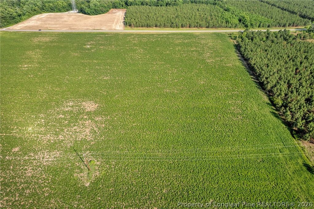 00 Old Wire (Lot 13) Road, Shannon, NC 28386 — photo 7