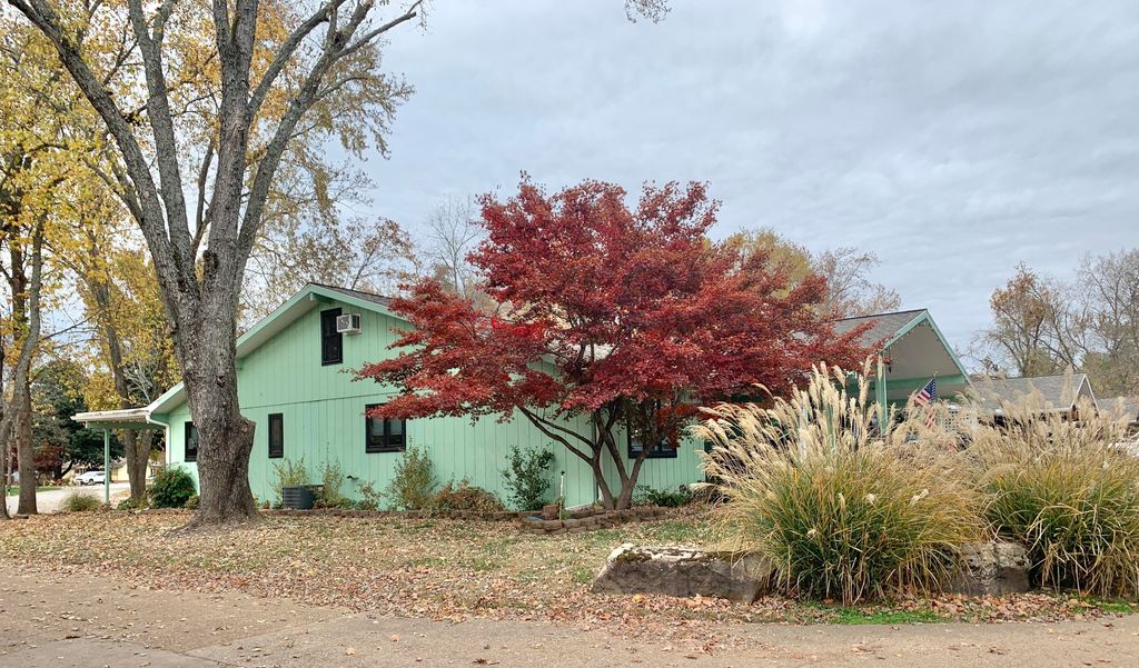 22 Willow Court, Branson, MO 65616