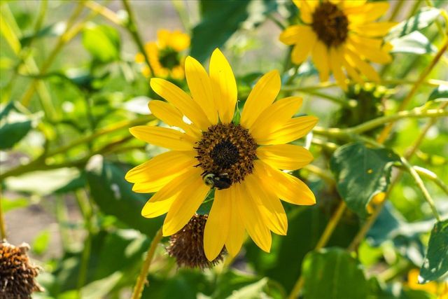 9508 S Freeman Dr, Medical Lake, WA 99022