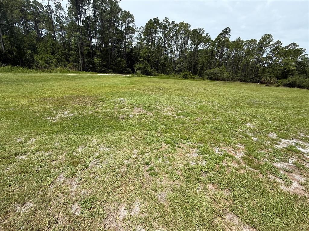 102 GLENSIDE STREET, Georgetown, FL 32139