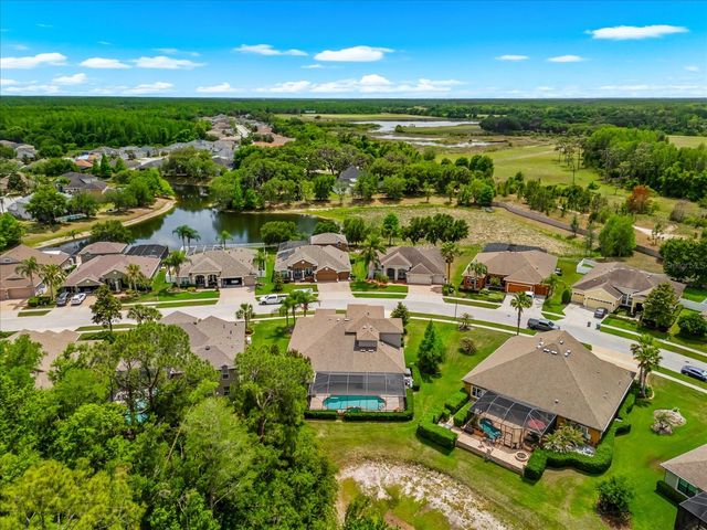 8904 CRYSTAL CREEK COURT, Land O Lakes, FL 34638