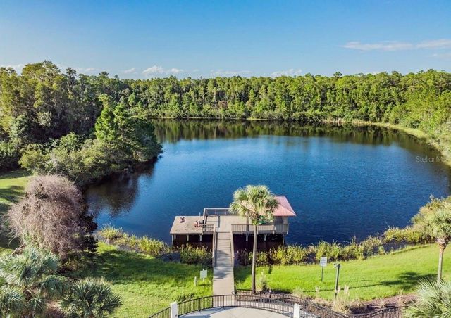8904 CRYSTAL CREEK COURT, Land O Lakes, FL 34638