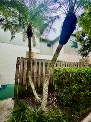 4320 Lilac Street 2c, Palm Beach Gardens, FL 33410
