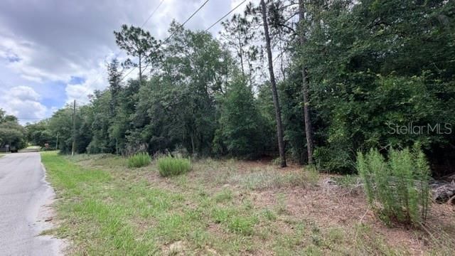 3223 E SCOFIELD ST, Inverness, FL 34453