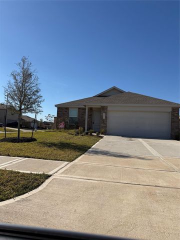 16803 Great Stable Way, Hockley, TX 77447