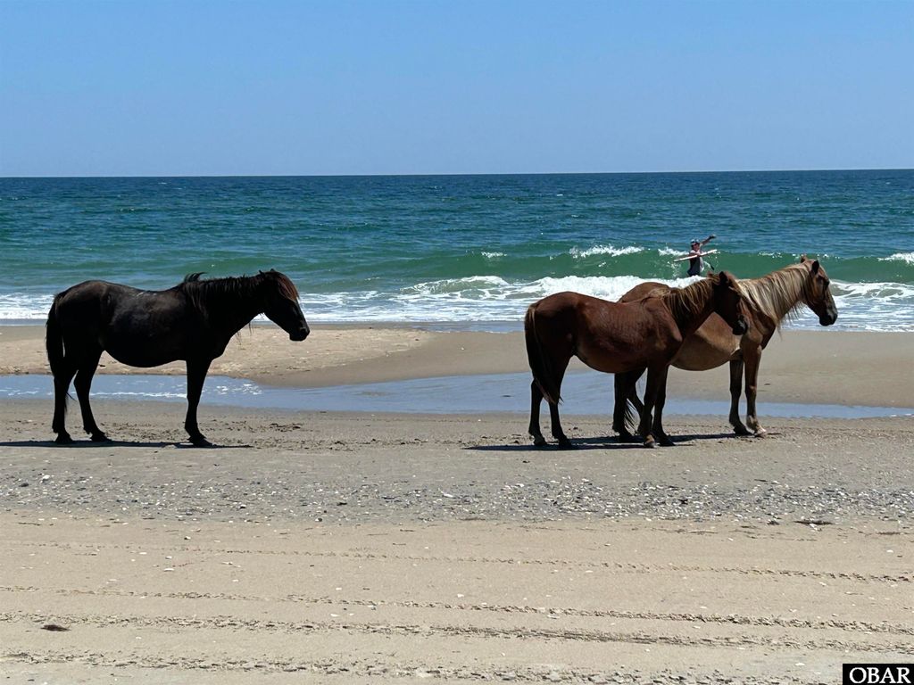 Image 3 of property listing at 2228 Sandpiper Road lot 11, Corolla, NC 27927