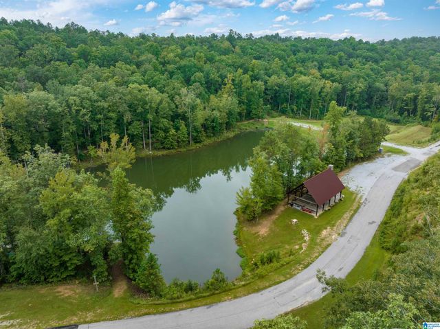 700 HICKORY HOLLOW, Chelsea, AL 35043