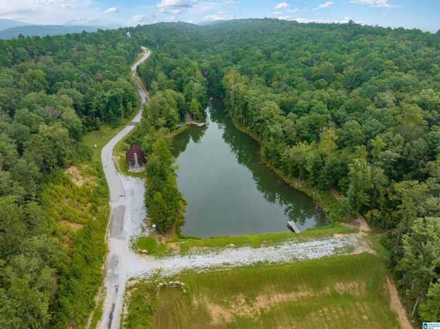 700 HICKORY HOLLOW, Chelsea, AL 35043