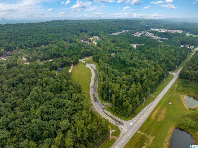 700 HICKORY HOLLOW, Chelsea, AL 35043