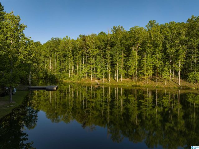 700 HICKORY HOLLOW, Chelsea, AL 35043