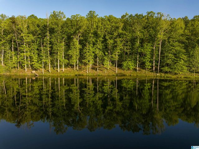 700 HICKORY HOLLOW, Chelsea, AL 35043