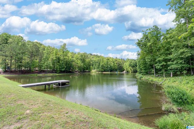 700 HICKORY HOLLOW, Chelsea, AL 35043