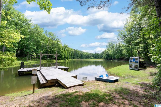 700 HICKORY HOLLOW, Chelsea, AL 35043