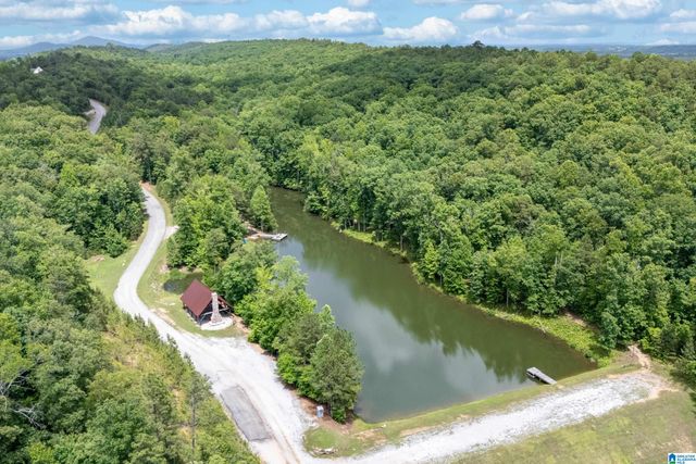 700 HICKORY HOLLOW, Chelsea, AL 35043