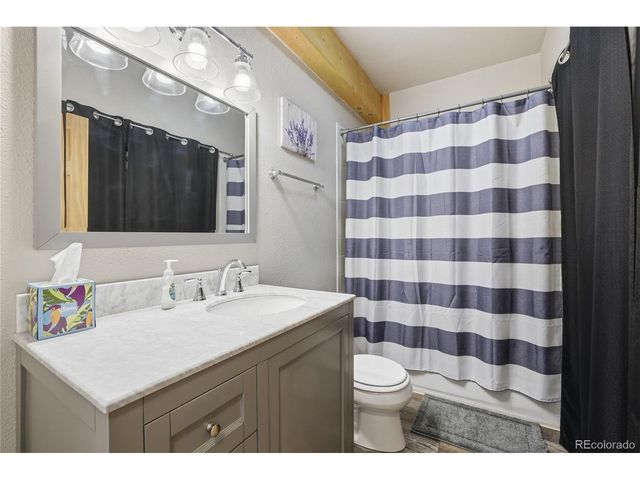 623 Cedar Ln D-D102, Buena Vista, CO 81211