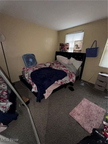 430 Kenwood Drive C11, Euclid, OH 44123