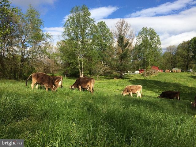 3085 INDIAN RUN RD, Amissville, VA 20106