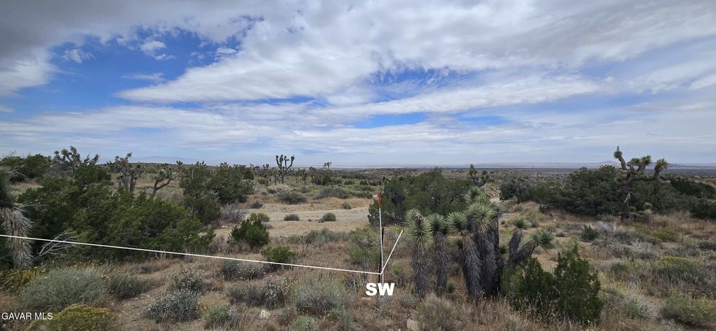 8900 E Avenue W-12, Littlerock, CA 93543