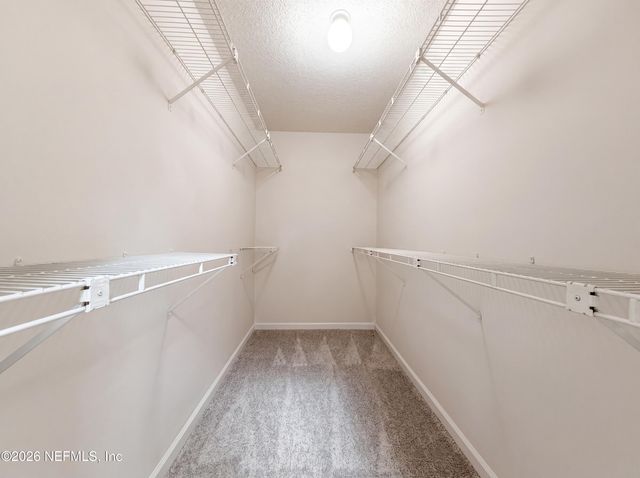 8510 MCNEILL Road, Jacksonville, FL 32244