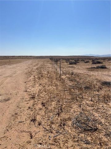 1 N Buckthorne Road, Helendale, CA 92342