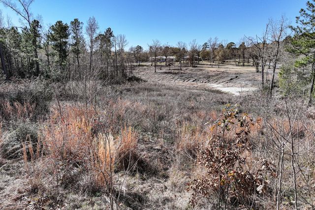 6 Lakeshore Lane, Riverside, TX 77320