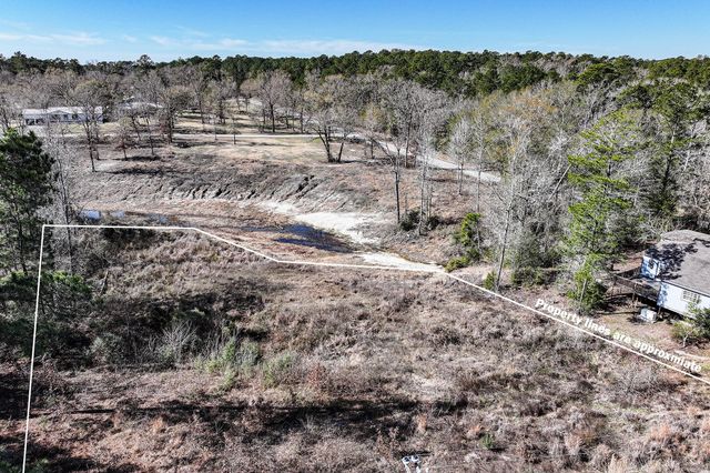 6 Lakeshore Lane, Riverside, TX 77320