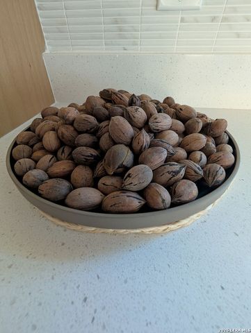 1333 Comanche Path, Bandera, TX 78003