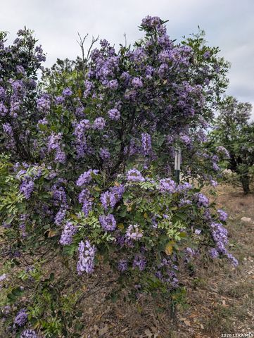 1333 Comanche Path, Bandera, TX 78003