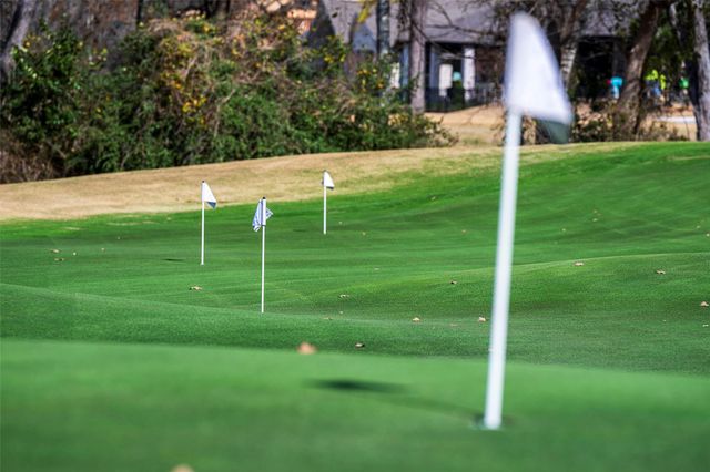 15019 Lakeline Green Dr, Willis, TX 77318