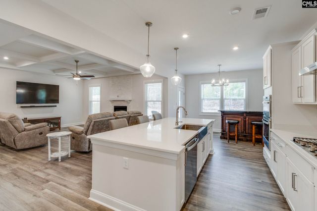 220 Rattle Trap Way, Lexington, SC 29072