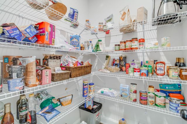 220 Rattle Trap Way, Lexington, SC 29072