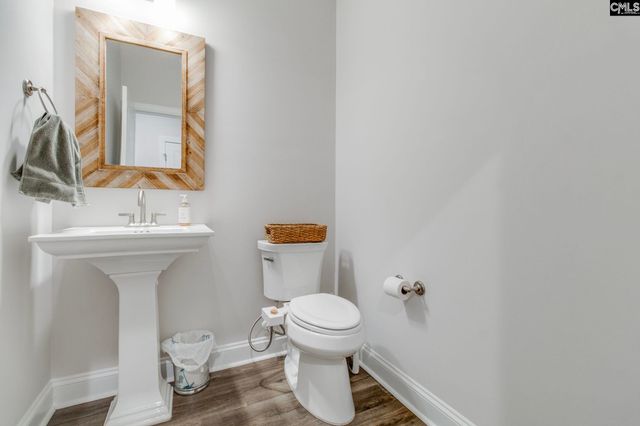 220 Rattle Trap Way, Lexington, SC 29072