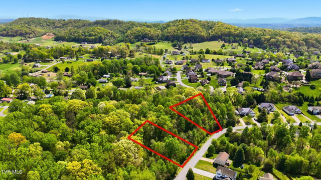 292 Holland View Drive, Jonesborough, TN 37659