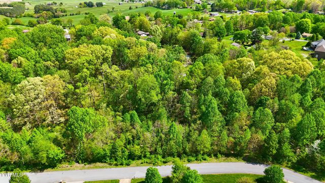 292 Holland View Drive, Jonesborough, TN 37659