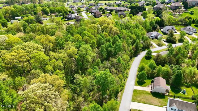 292 Holland View Drive, Jonesborough, TN 37659