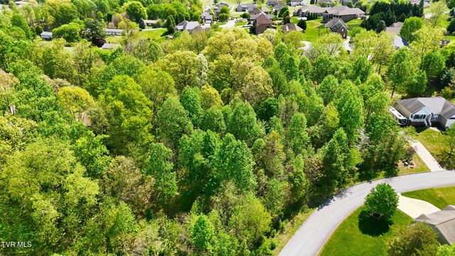 292 Holland View Drive, Jonesborough, TN 37659
