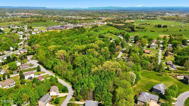 292 Holland View Drive, Jonesborough, TN 37659