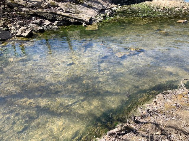 CH 7 2360 E, Newman, IL 61942