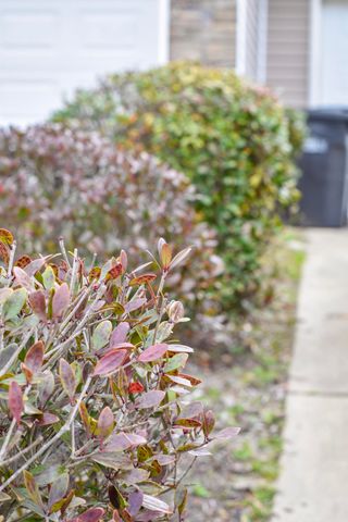 1904 Aspen Green Way, Augusta, GA 30909