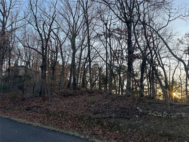 31 Burkimo Lane, Holiday Island, AR 72631