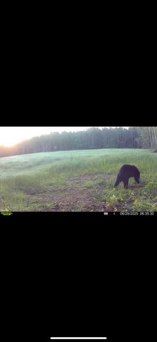 13980 12 Mile, Remus, MI 49340