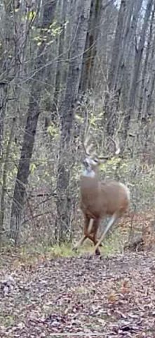 13980 12 Mile, Remus, MI 49340