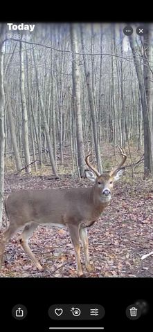 13980 12 Mile, Remus, MI 49340