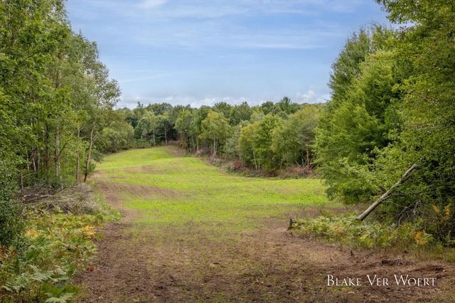 13980 12 Mile, Remus, MI 49340