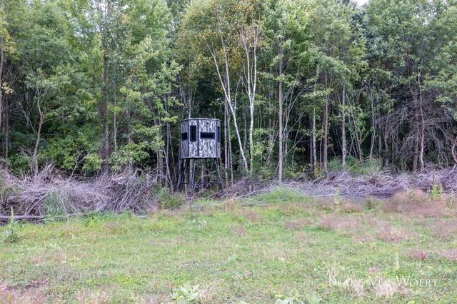 13980 12 Mile, Remus, MI 49340