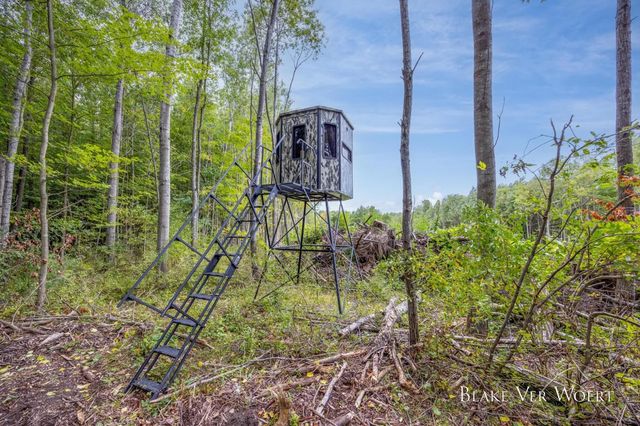 13980 12 Mile, Remus, MI 49340